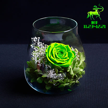 ��ꖱ��r�������r�� ������