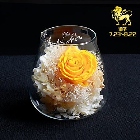 ��ꖱ��r�������r�� �{����