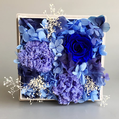 ���ݬ����^���r�������r�� BX165