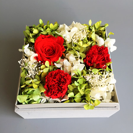 �Q�ڱ��r�������r�� BX166