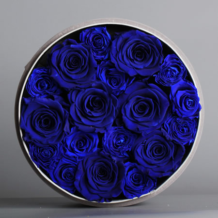 �Q�ڱ��r�������r�� BX136