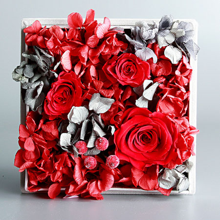 �������r��������Đ�  �tɫ