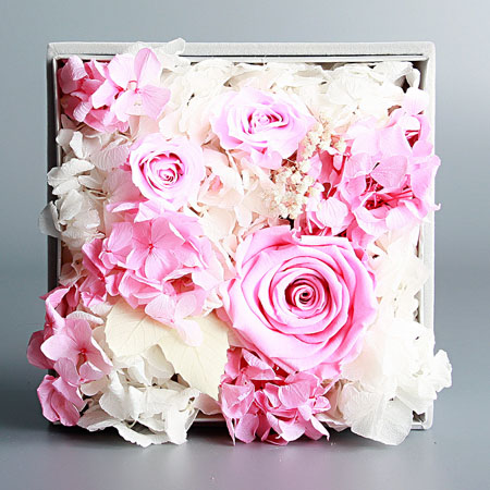 ���ݬ����^���r��������Đ�  ��ɫ