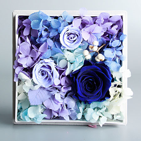 ��Դ���r��������Đ�  �{(l��n)ɫ