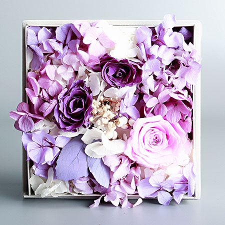 ��ꎱ��r��������Đ�  ��ɫ