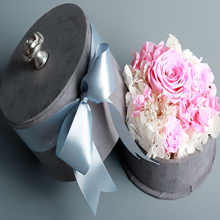 ��ꖱ��r��������A�M  ��ɫ