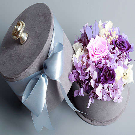 ���D���r��������A�M  ��ɫ