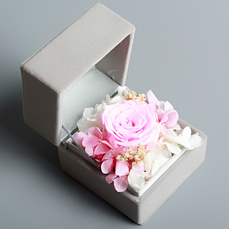 ���ݬ����^���r����С�����  ����ɫ