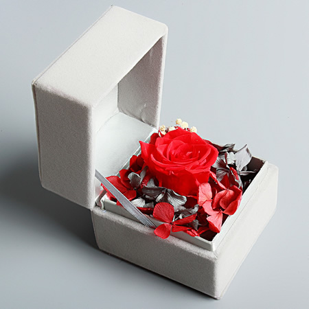 �Q�ڱ��r����С�����  �tɫ