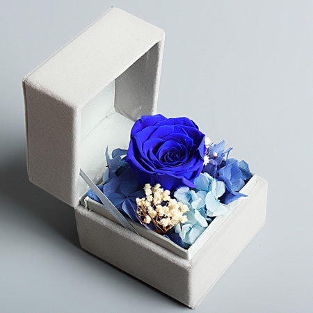 ��ꖱ��r����С�����  �{ɫ