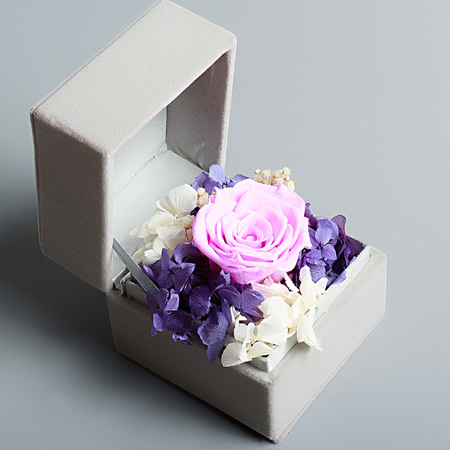 �������r����С�����  ��ɫ