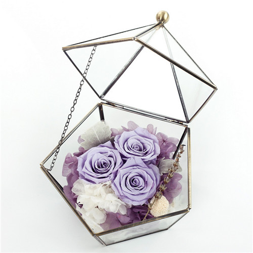 ���ֱ��r�������r�����ǲ���������