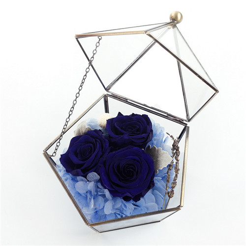 ��ꎱ��r�������r�����ǲ����������{(l��n)