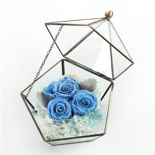 ���혳ǅ^���r�������r�����ǲ��������\�{