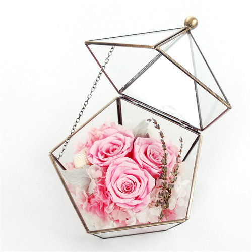 ��ꎱ��r�������r�����ǲ���������