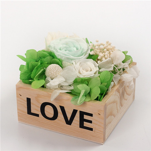 �a�ֺ��ر��r�������r��ľ��l(w��i)ove�\�G