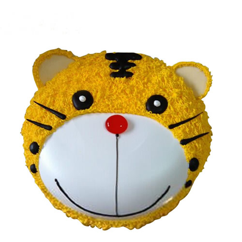 �����(zh��n)-��������