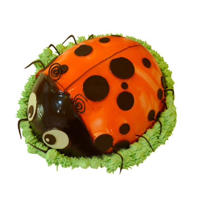 ����(zh��n)-�ך��x