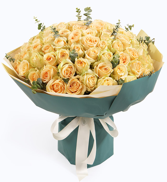 �{(l��n)ɫ����