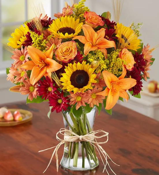 �ӱ�ʡ�r��-����ĶY��